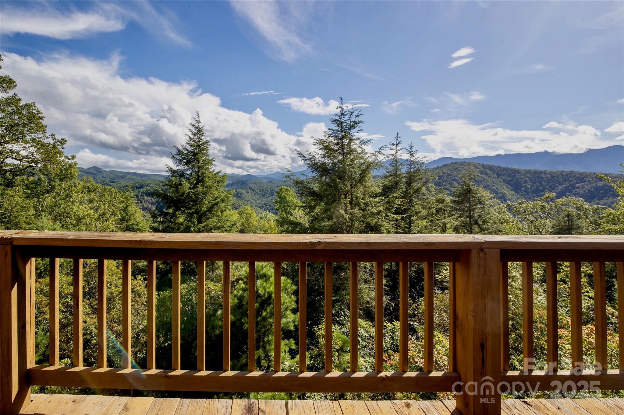 807 Pine Tree Road Spruce Pine, NC 28777 - Photo 6 of 48