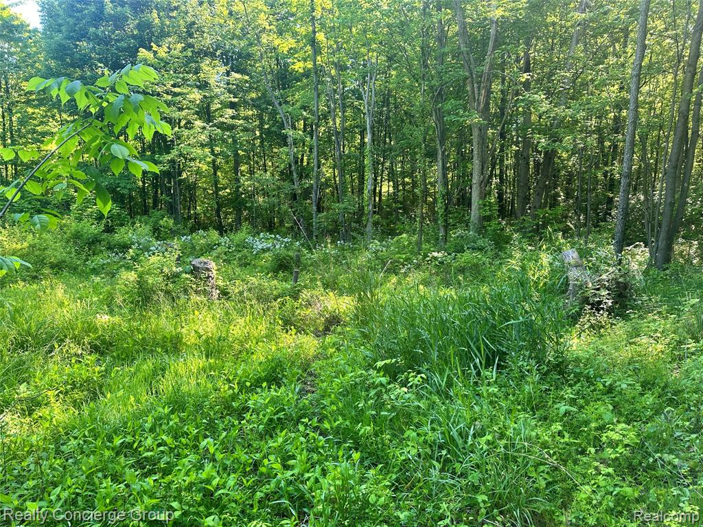2681 Fisk Road Howell, MI 48843 - Photo 14 of 19