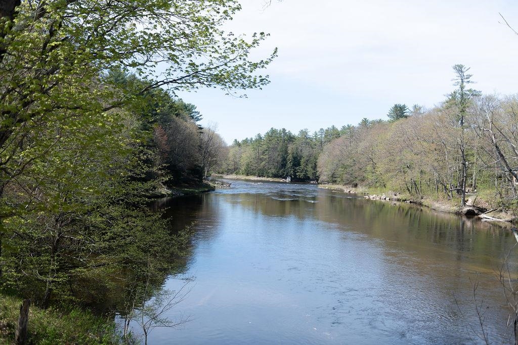 25 Partridge Knoll Road Campton, NH 03223 - Photo 20 of 22