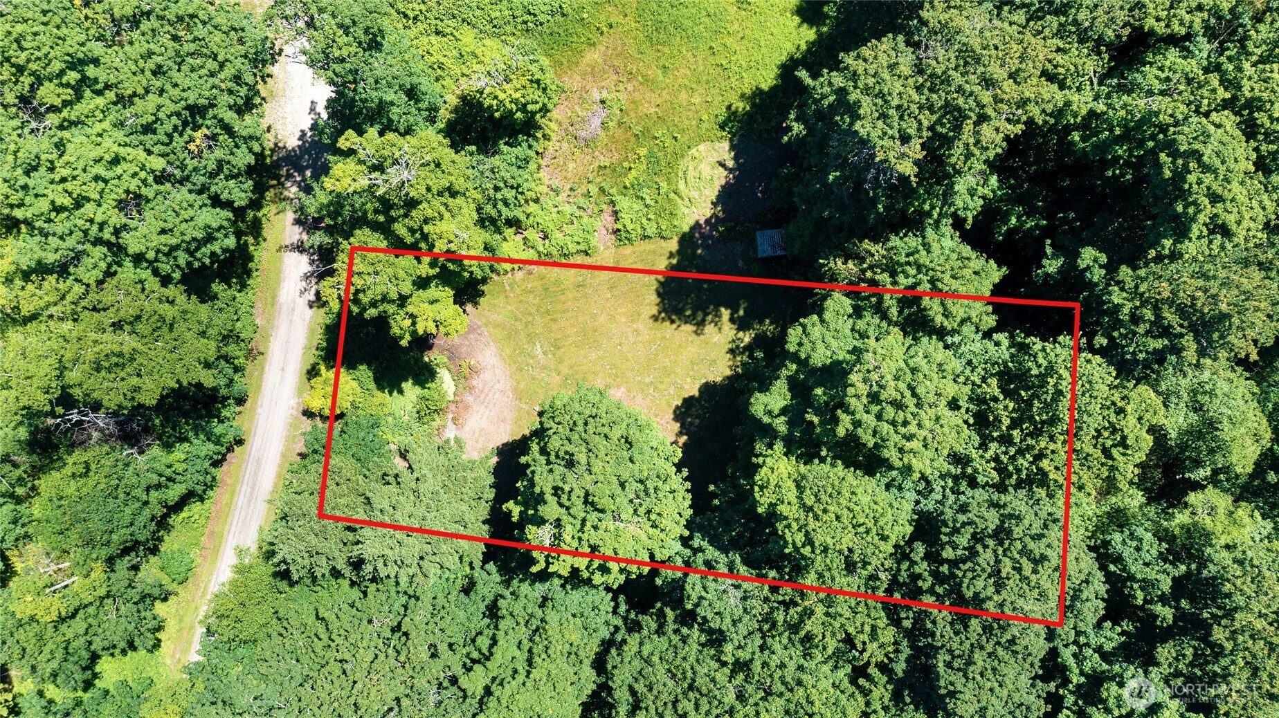 an aerial view of green landscape with trees