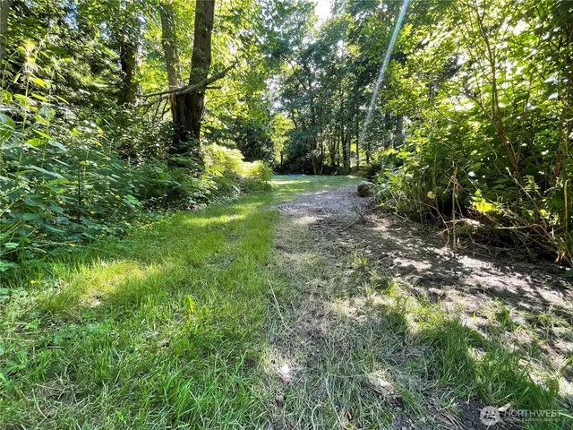 a view of yard with green space