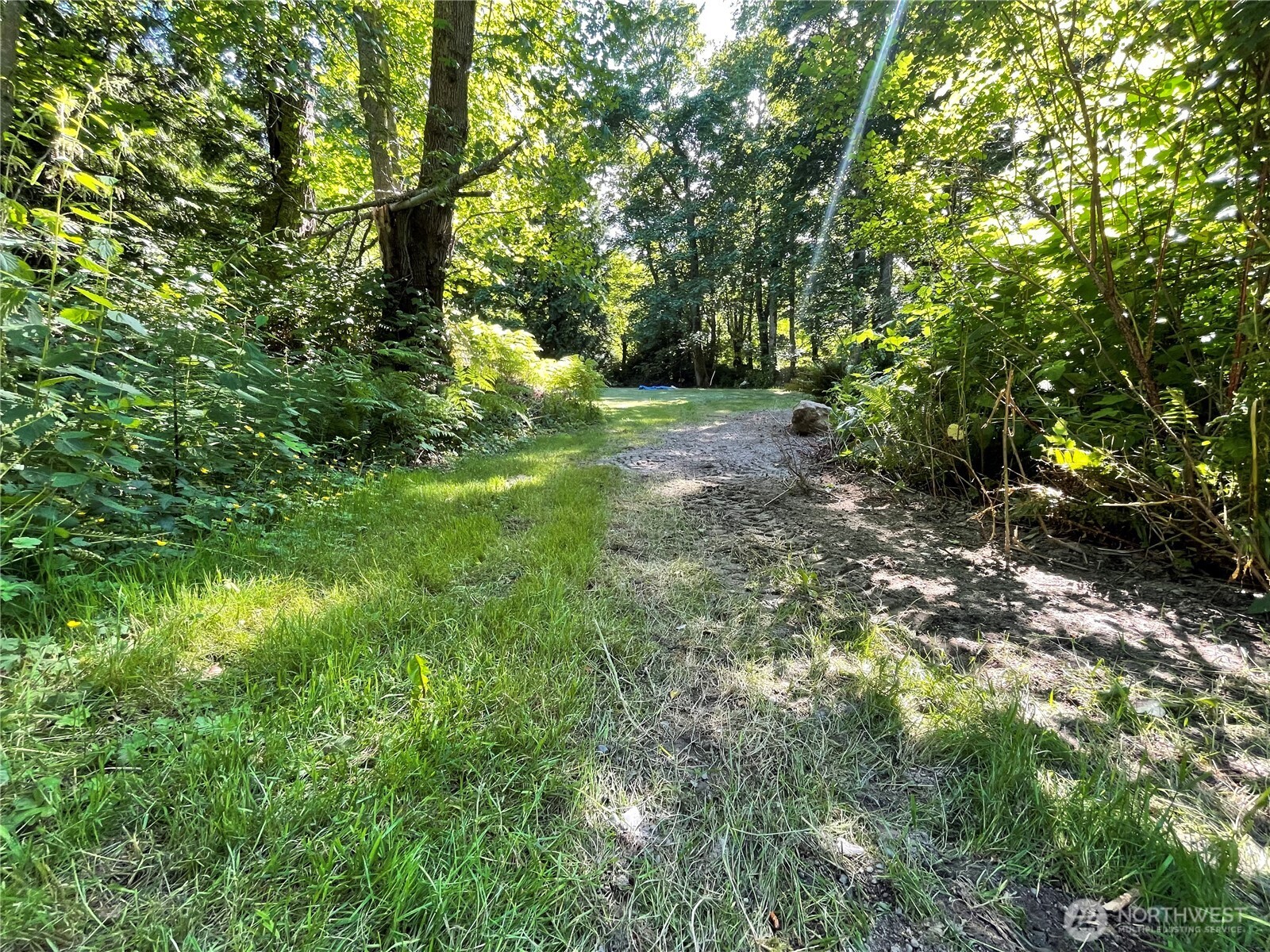 13 K Beach Way Everett, WA 98201 - Photo 12 of 35 a view of lush green forest