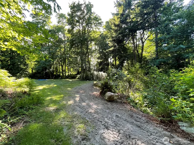 a view of a big yard with large trees