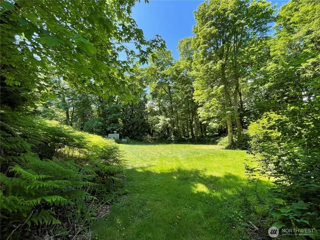 a view of a green yard