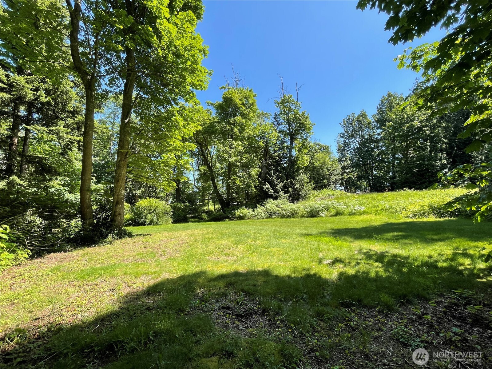 13 K Beach Way Everett, WA 98201 - Photo 23 of 35 a view of a trees with a yard