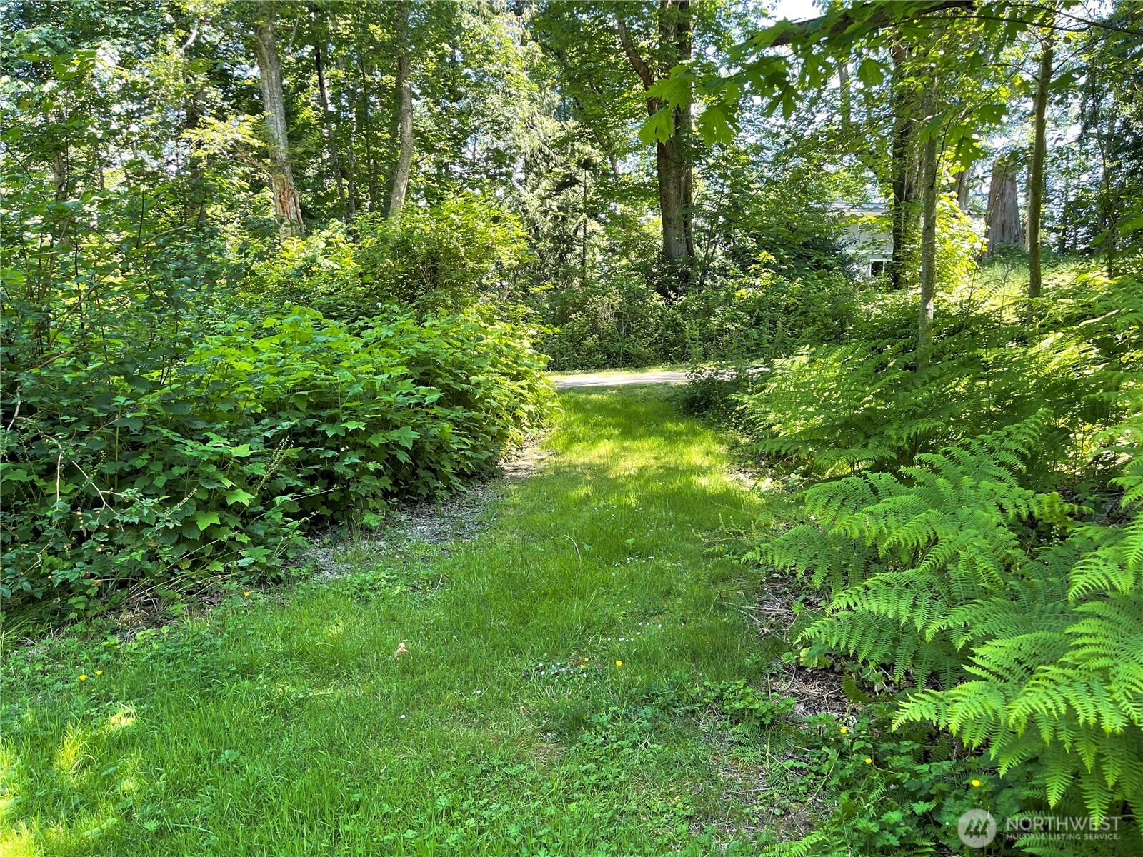 13 K Beach Way Everett, WA 98201 - Photo 24 of 35 a view of a green yard
