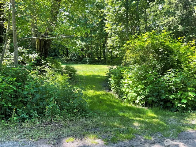 a view of a park with large trees