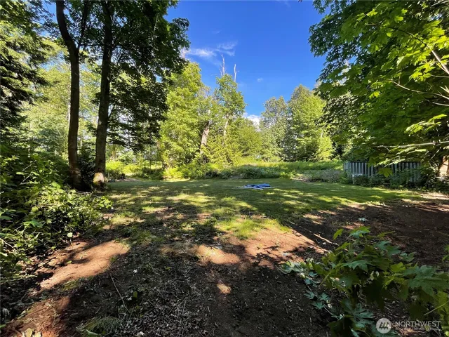 a view of a tree in a yard