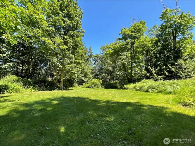 a view of a grassy field with trees