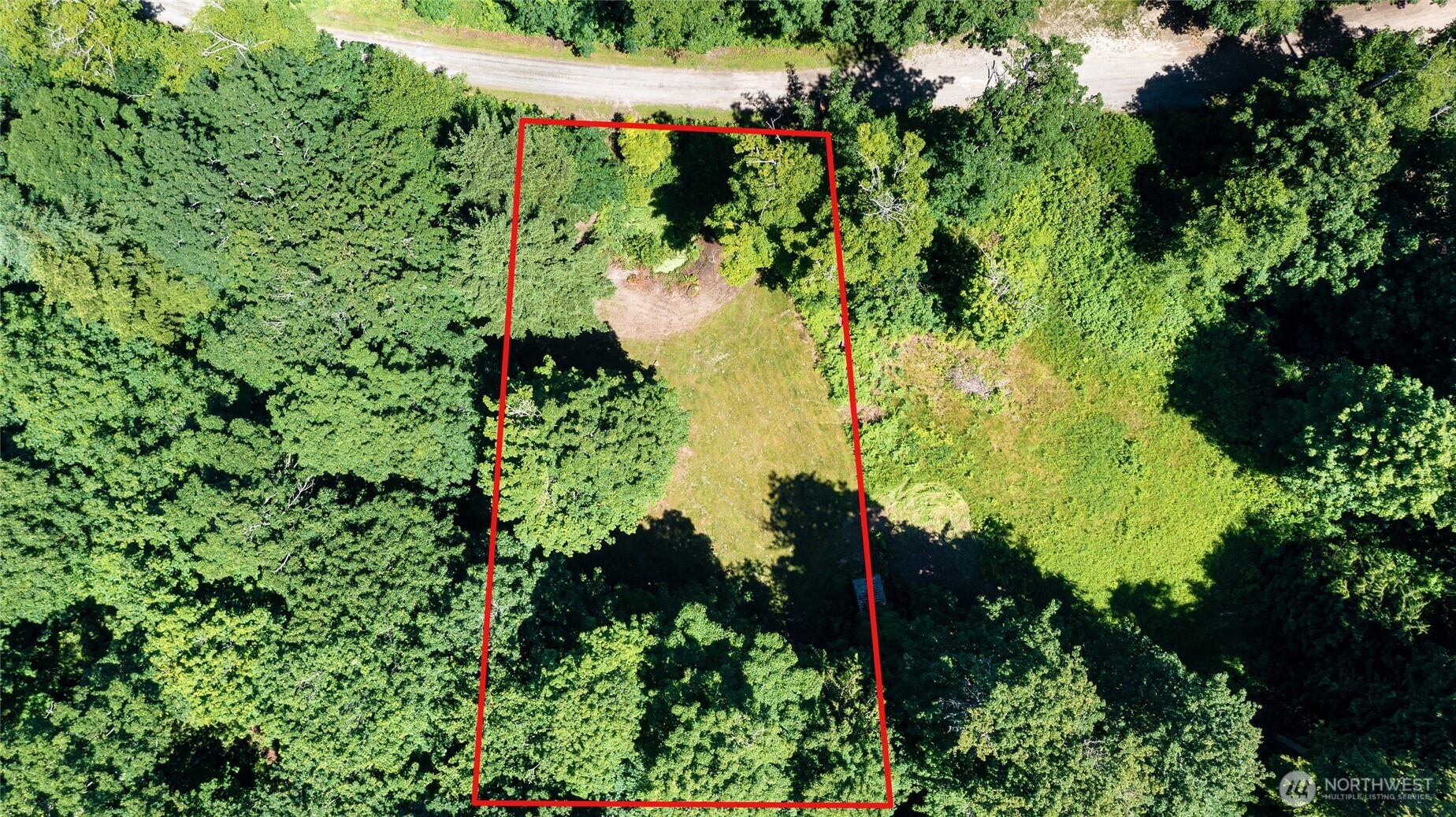 13 K Beach Way Everett, WA 98201 - Photo 6 of 35 an aerial view of a yard with plants and large trees