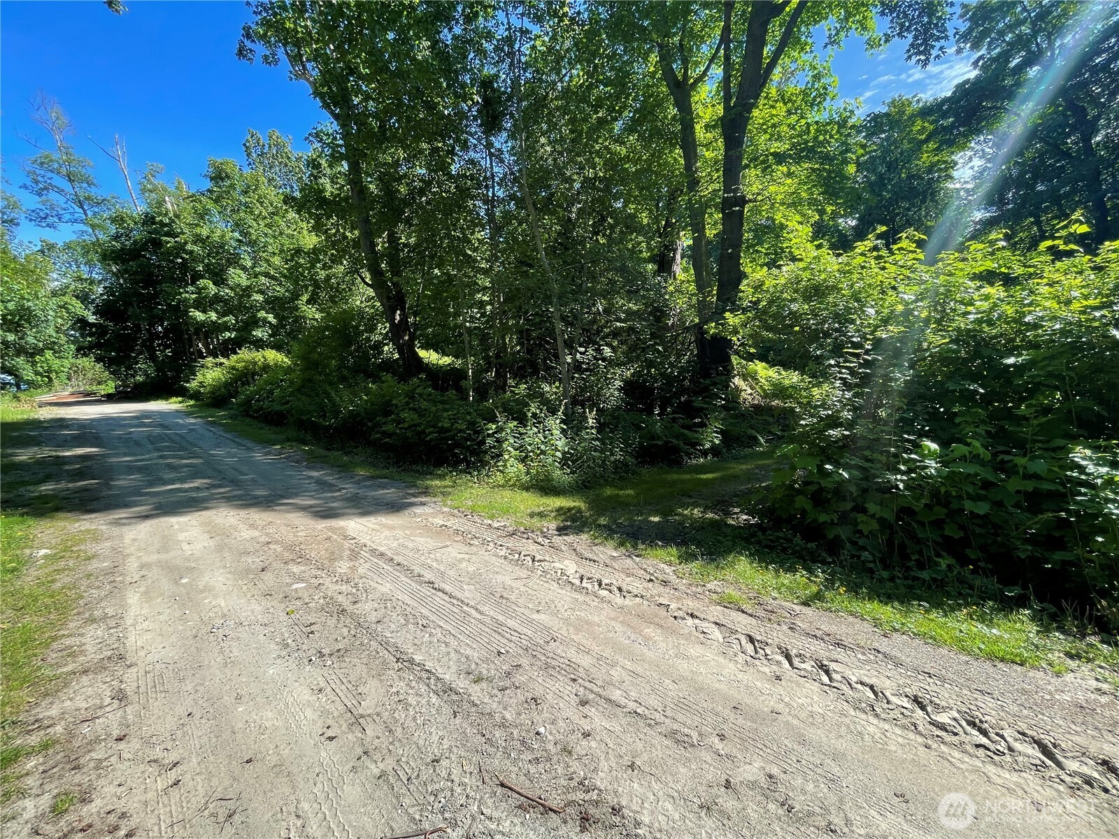 13 K Beach Way Everett, WA 98201 - Photo 9 of 35 a view of a yard with plants and large trees