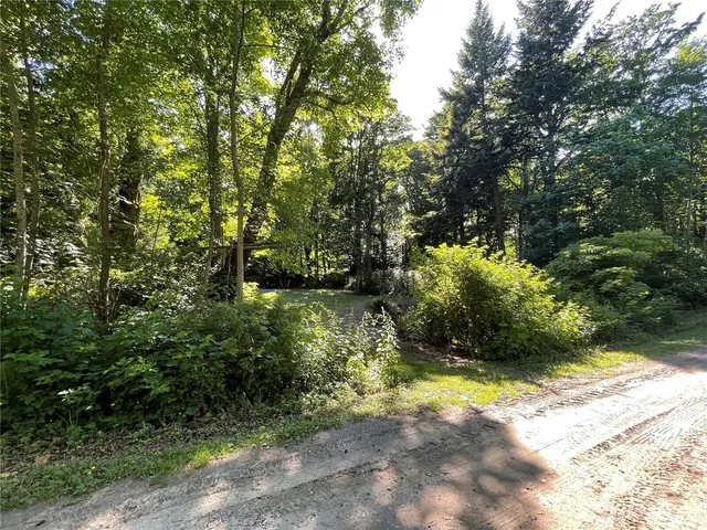 a view of outdoor space and trees