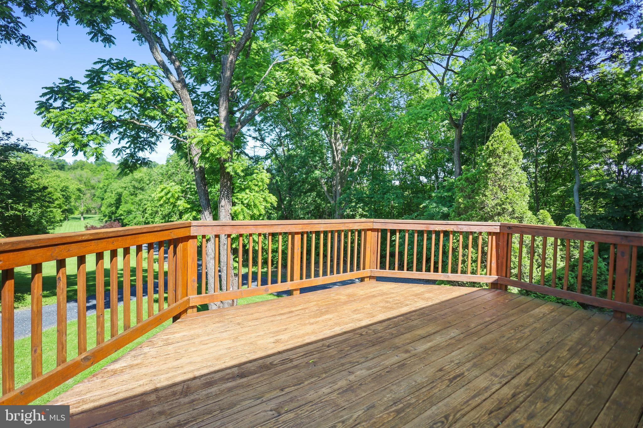 804 Farms River Road Front Royal, VA 22630 - Photo 36 of 80 deck