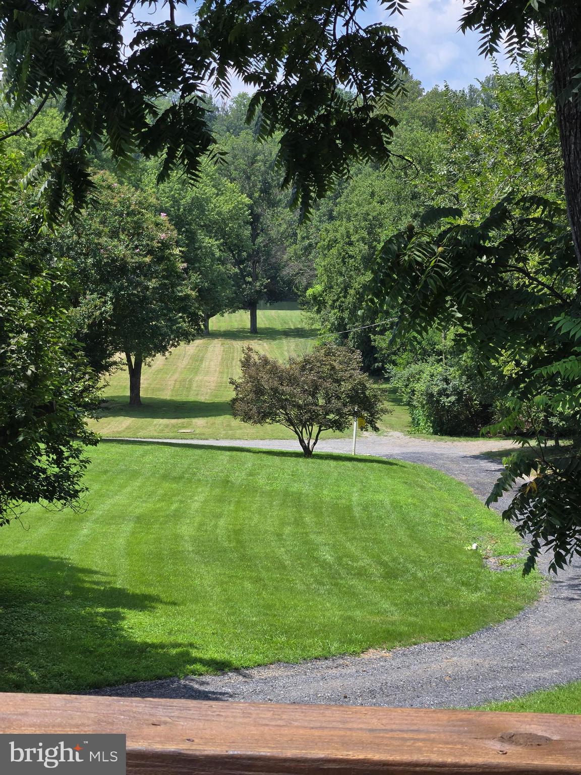 804 Farms River Road Front Royal, VA 22630 - Photo 38 of 80 front yard