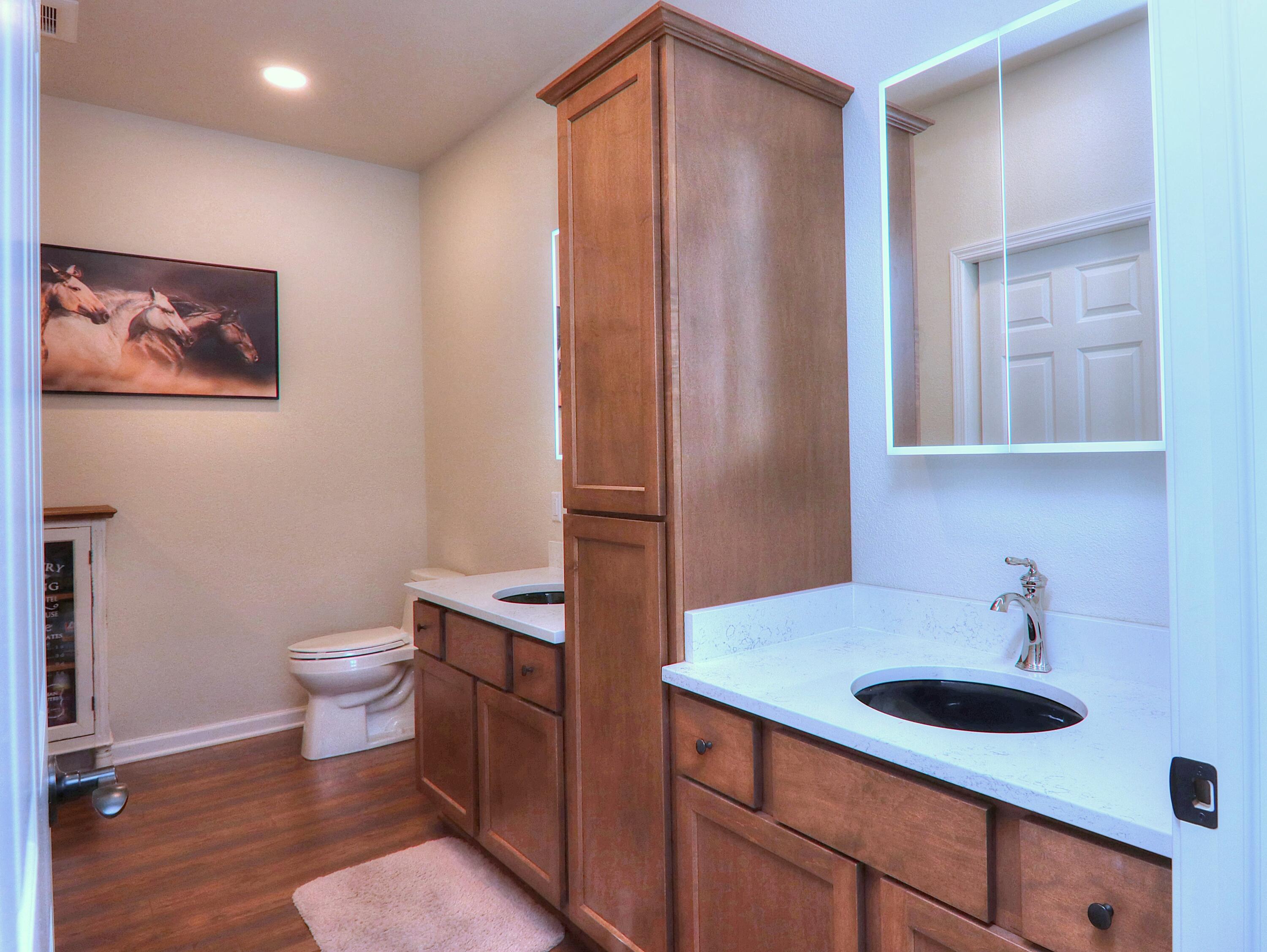 N6195 County Rd O J Plymouth, WI 53073 - Photo 11 of 24 Custom and Dual Areas in on suite bath