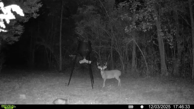 a view of a porch with furniture and yard