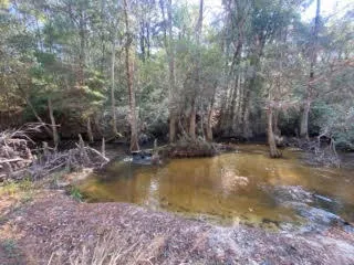 $310,000 | Parcel A&b Sunburst Drive, Crestview, FL 32539