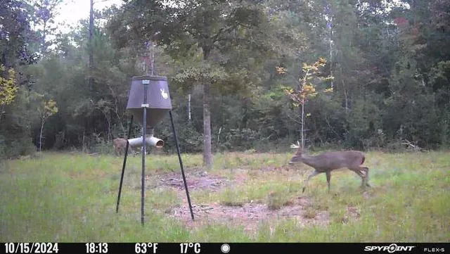 a wooden bench sitting in a yard