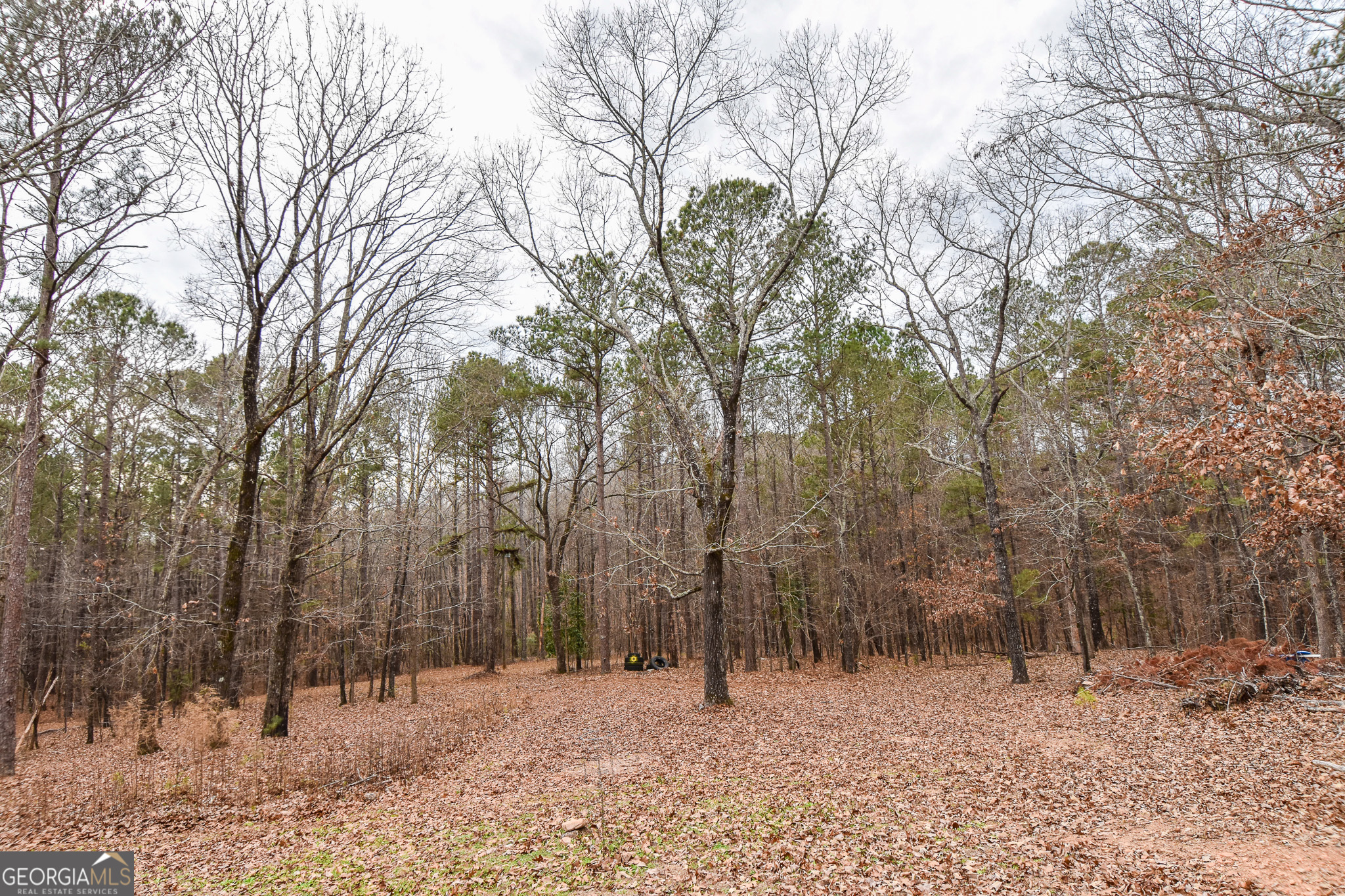18 Ridgecrest Drive Thomaston, GA 30286 - Photo 18 of 53 a backyard of a house with trees covered with snow in the background