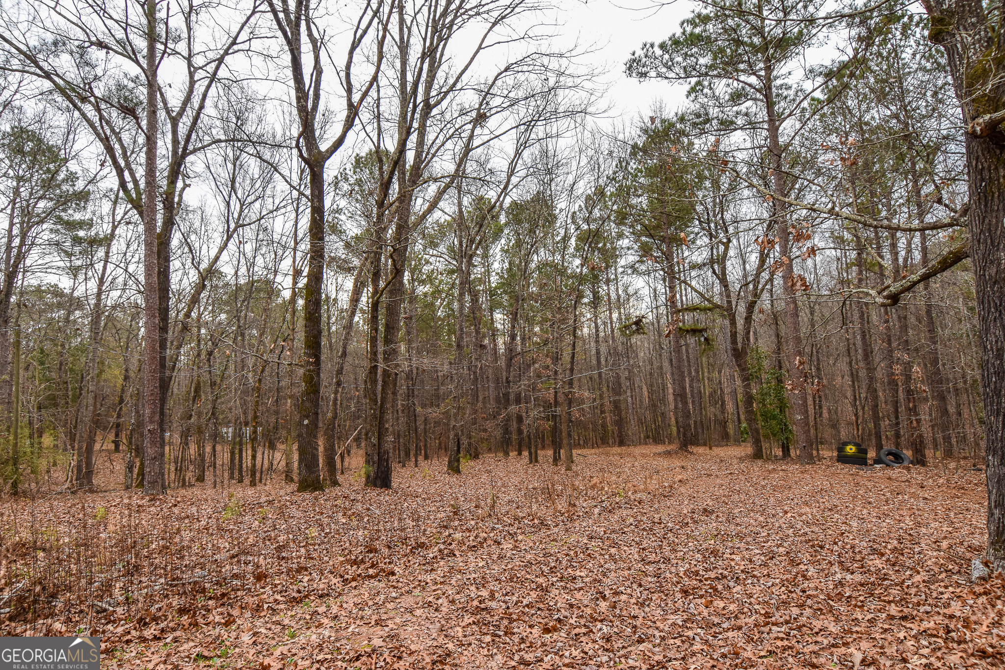 18 Ridgecrest Drive Thomaston, GA 30286 - Photo 21 of 53 a view of wooden fence
