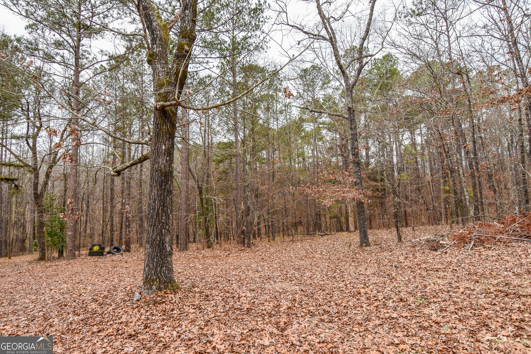 18 Ridgecrest Drive Thomaston, GA 30286 - Photo 22 of 53 a backyard of a house with lots of trees