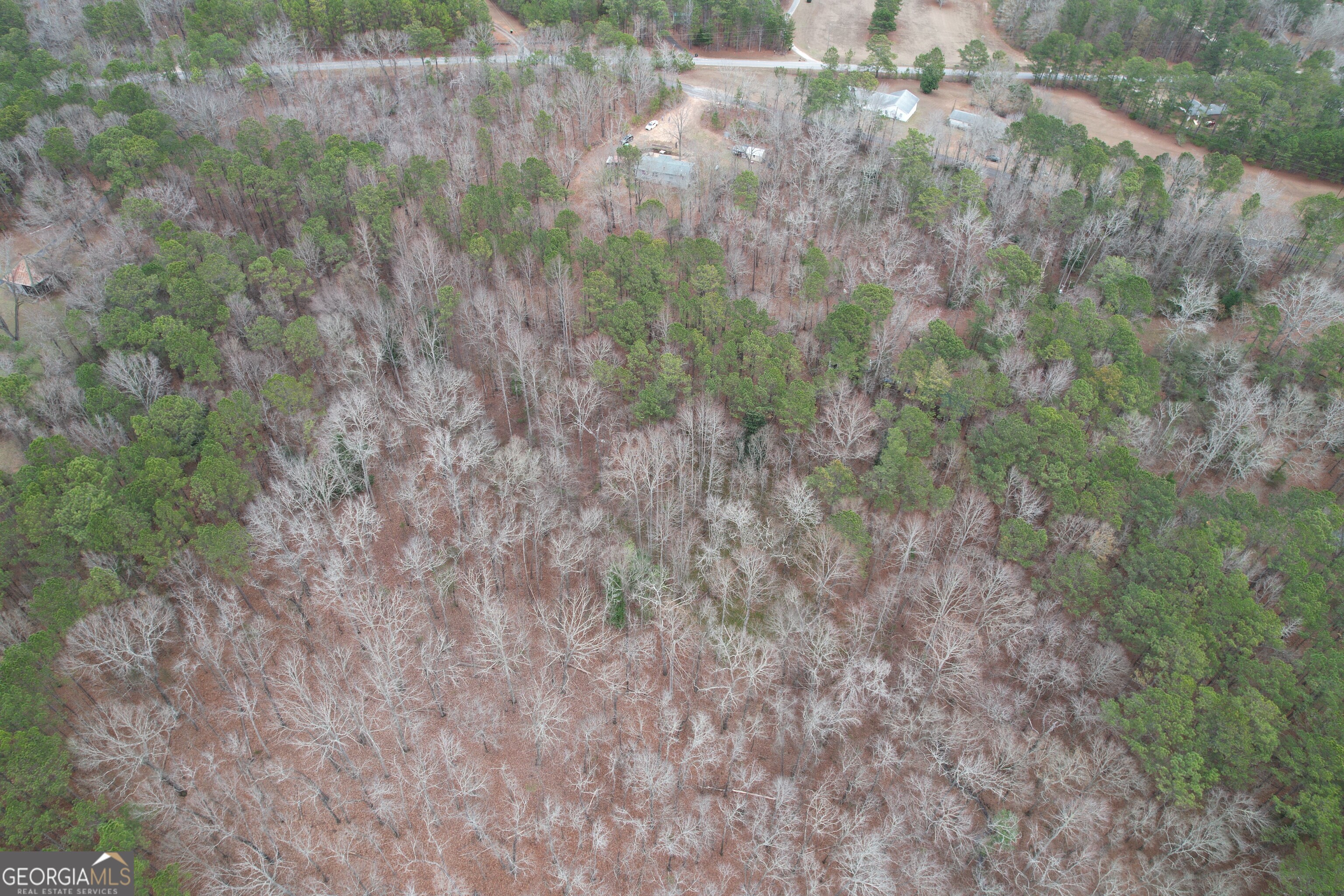 18 Ridgecrest Drive Thomaston, GA 30286 - Photo 5 of 53 a view of a forest with a tree