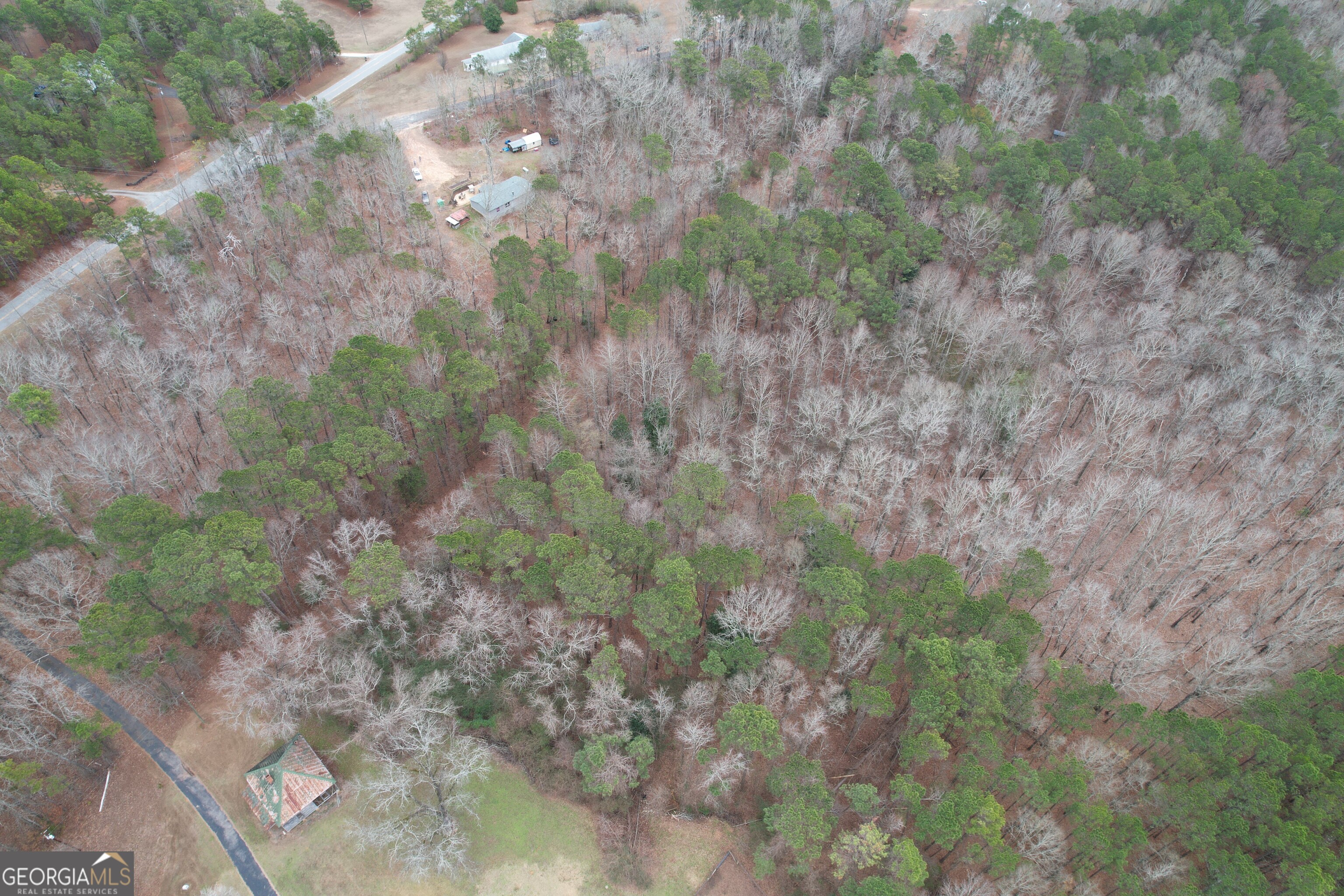18 Ridgecrest Drive Thomaston, GA 30286 - Photo 6 of 53 a view of a forest with lots of trees