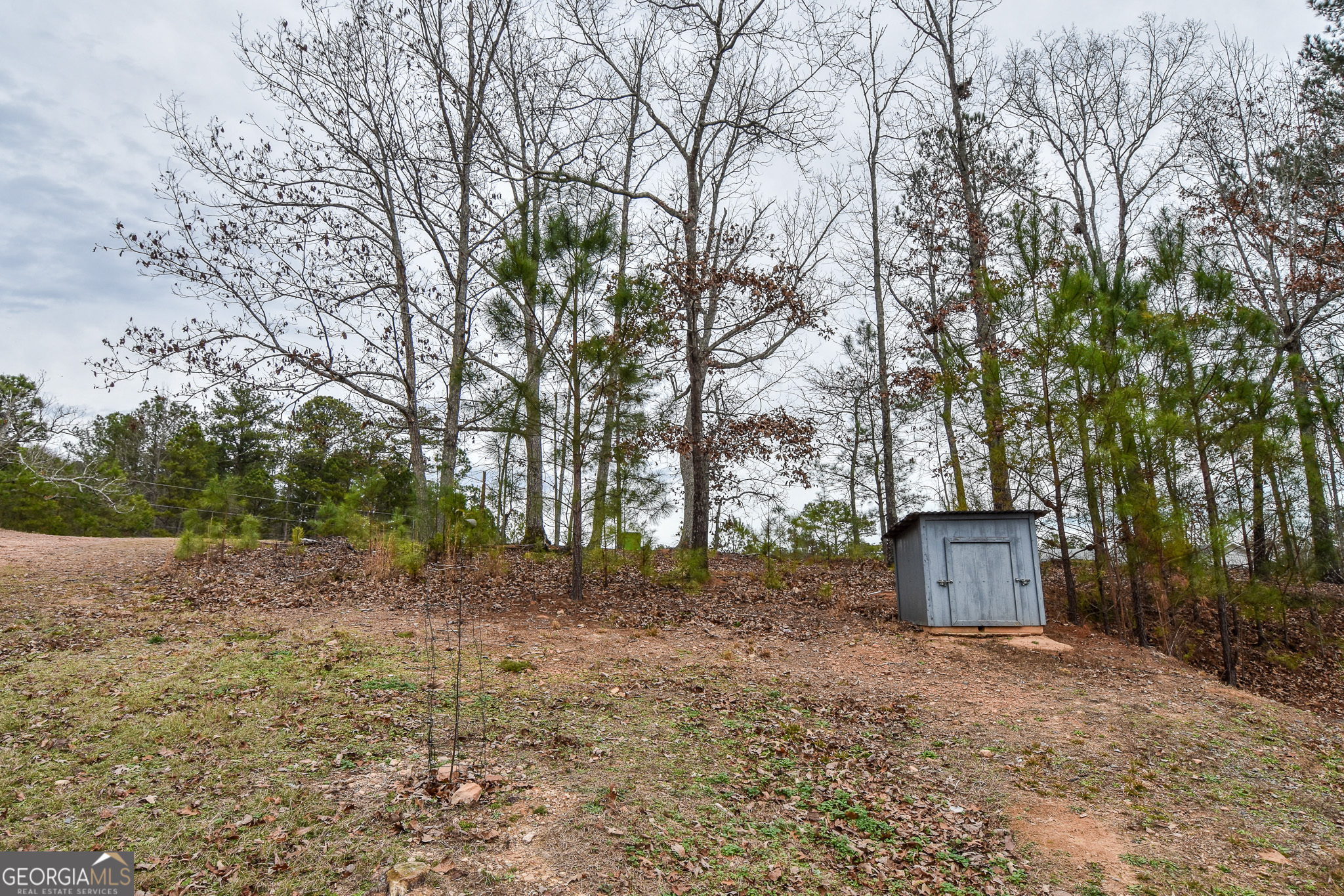 18 Ridgecrest Drive Thomaston, GA 30286 - Photo 8 of 53 a backyard of a house with lots of green space