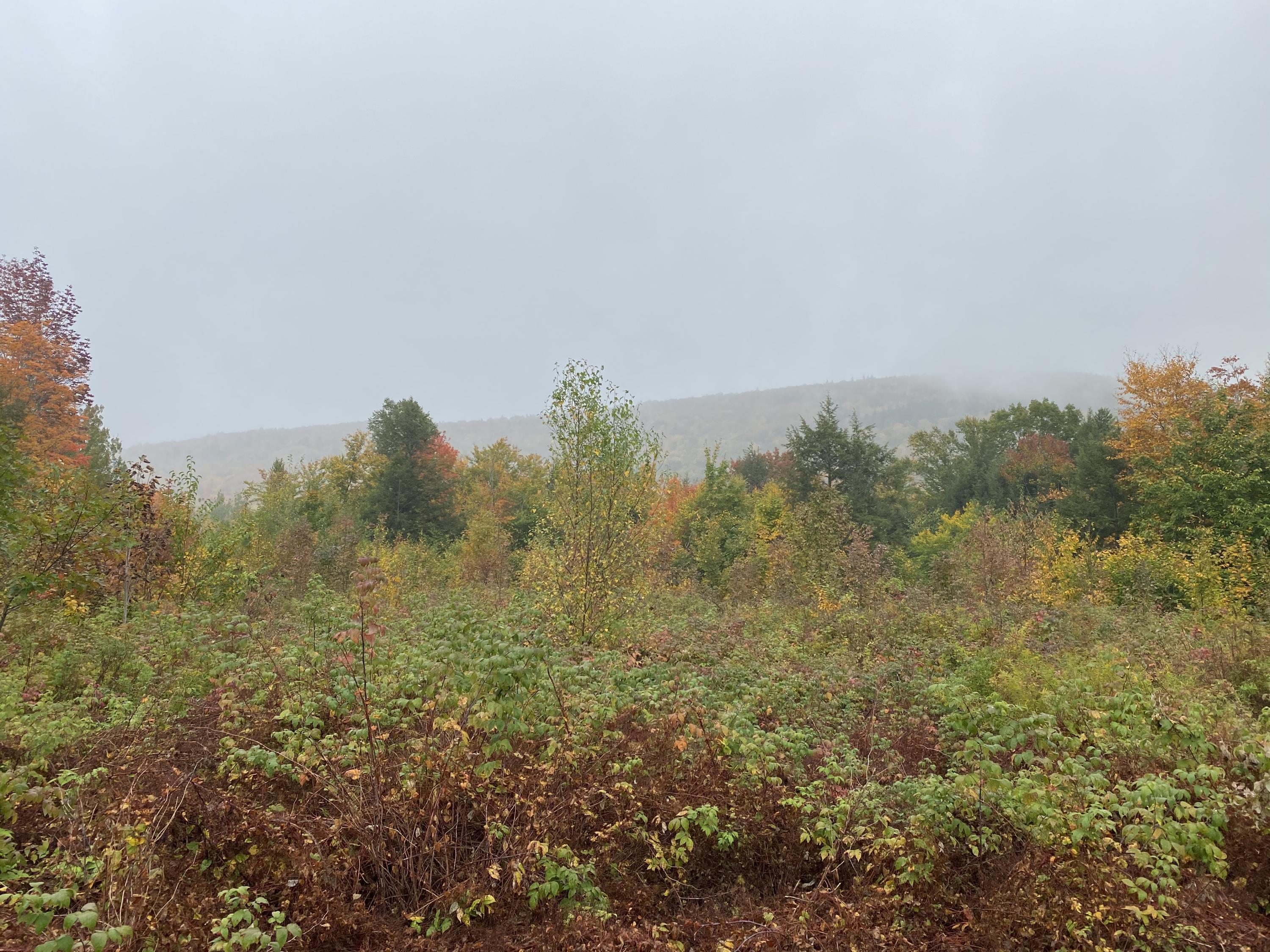 Lot 46 Dill Valley Road Lakeville, ME 04487 - Photo 31 of 38 Photo Sep 29, 12 05 47 PM