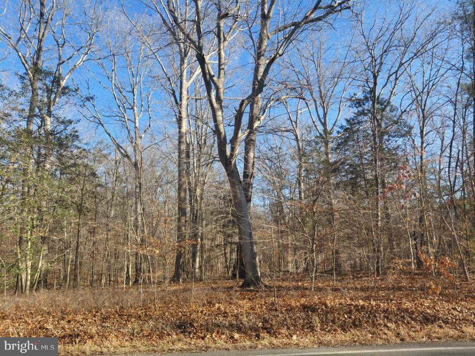 7060 Annapolis Woods Road La Plata, MD 20646 - Photo 2 of 7 a backyard of a house with lots of green space