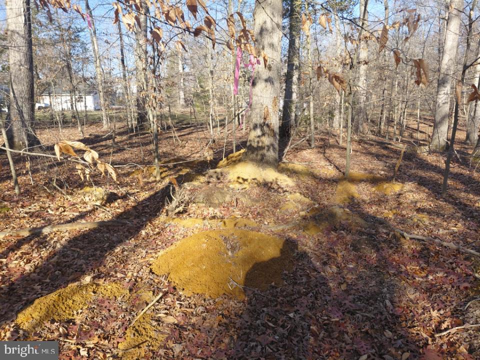 7060 Annapolis Woods Road La Plata, MD 20646 - Photo 4 of 7 a view of yard with outdoor seating