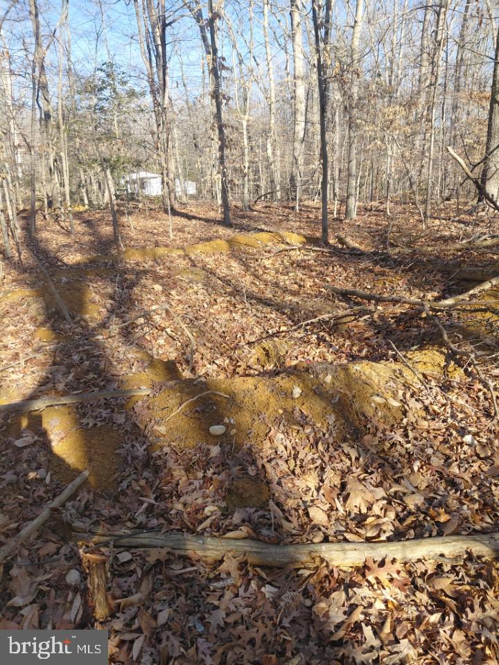 7060 Annapolis Woods Road La Plata, MD 20646 - Photo 5 of 7 a backyard of a house