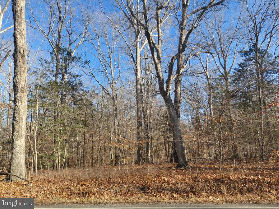 7060 Annapolis Woods Road La Plata, MD 20646 - Photo 7 of 7 a backyard of a building
