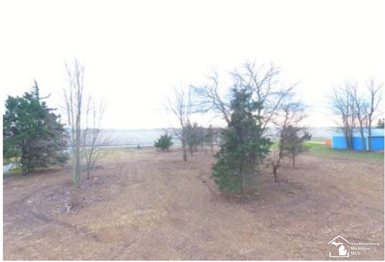 0 Morocco Road Blissfield, MI 49228 - Photo 4 of 6