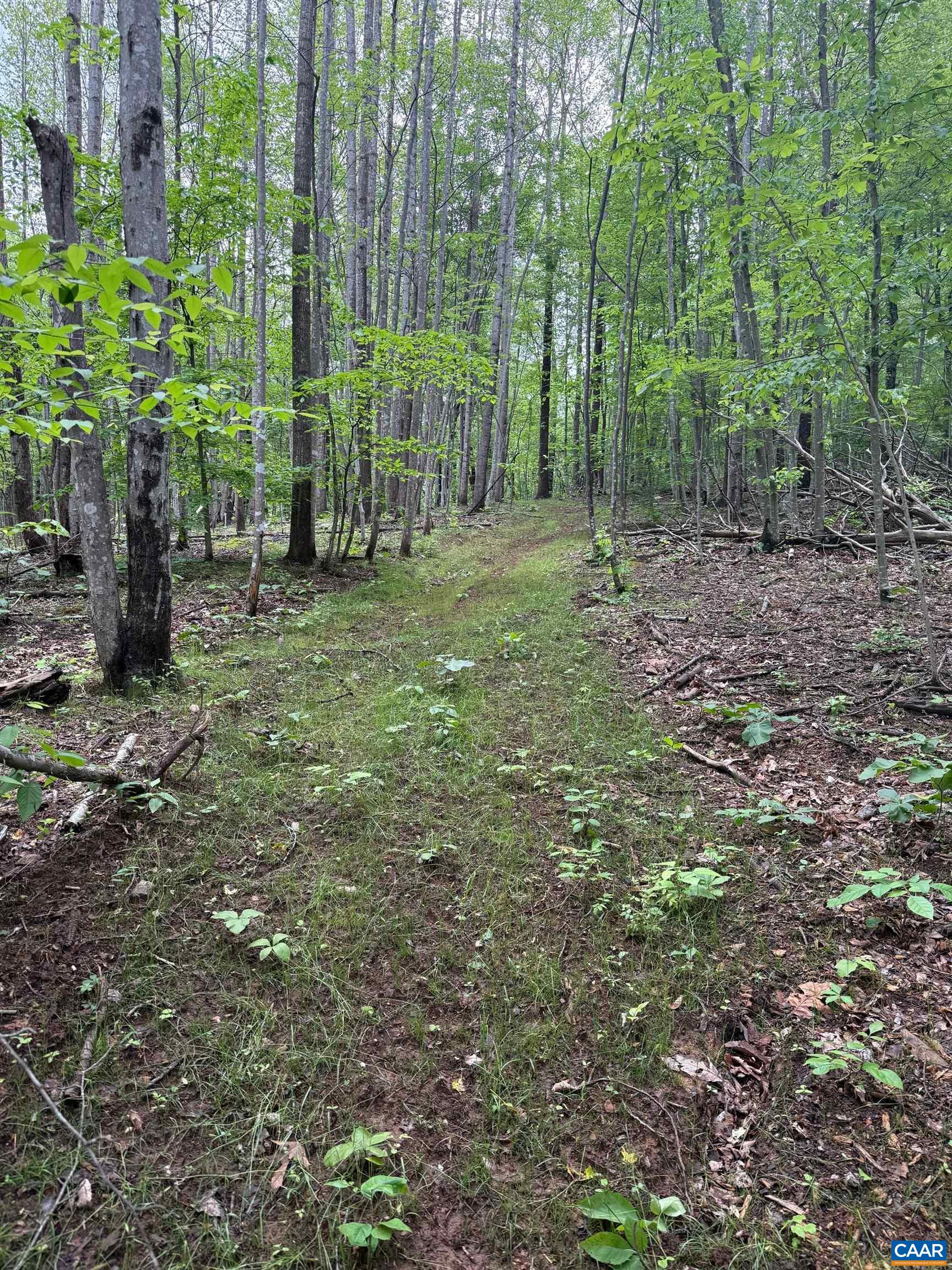 Tbd Rabbit Valley Road North Garden, VA 22959 - Photo 2 of 6