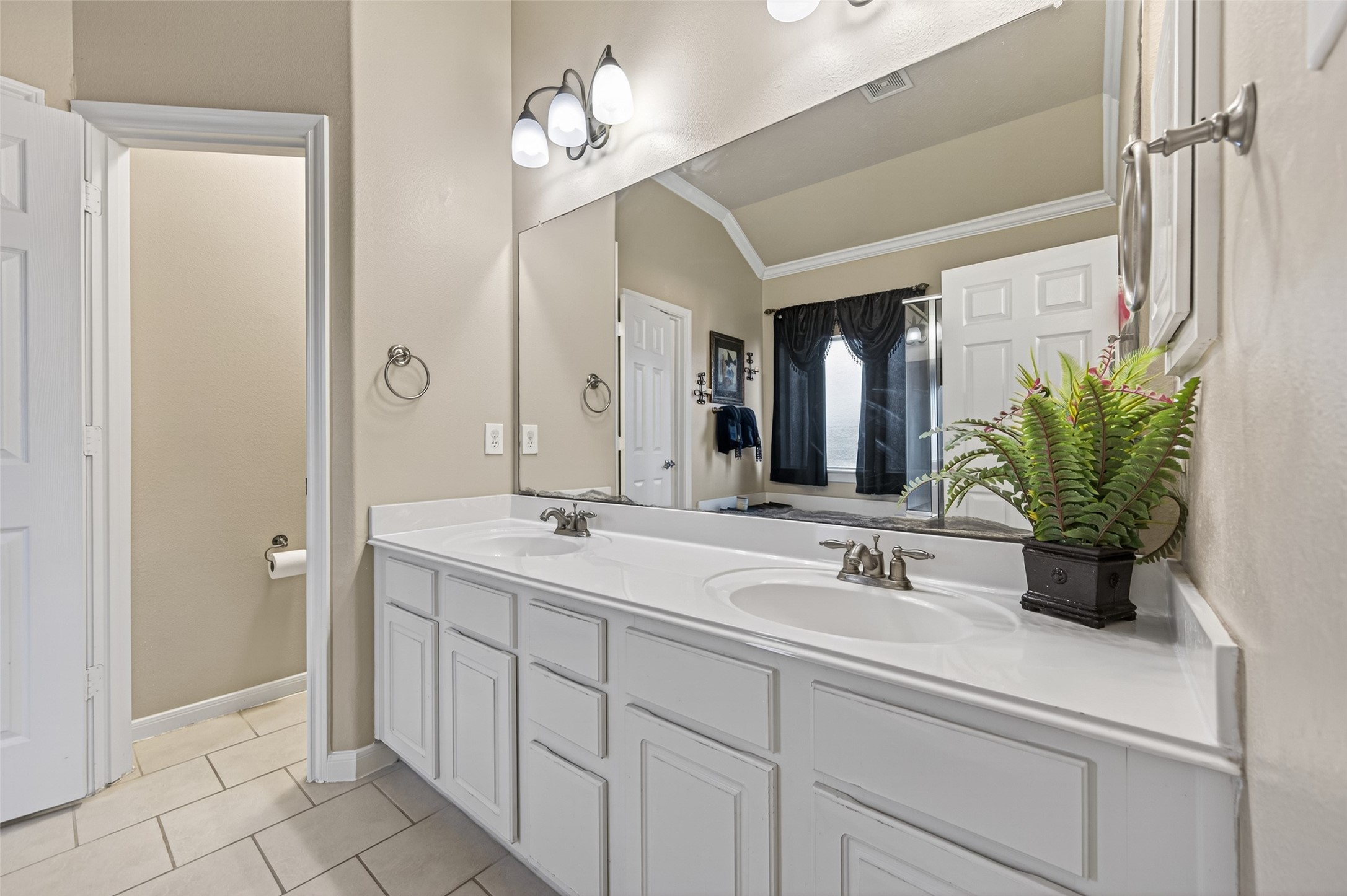4602 Countrypines Drive Spring, TX 77388 - Photo 10 of 21 a bathroom with a sink a potted plant and a mirror