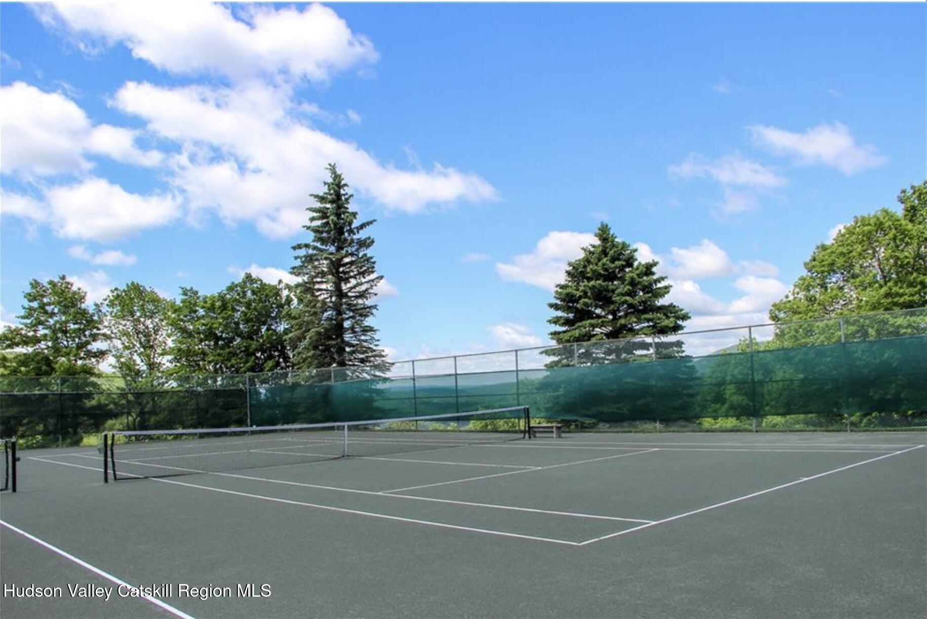 130 Pines Drive, Unit 59 Roxbury, NY 12421 - Photo 6 of 34 a view of a tennis court