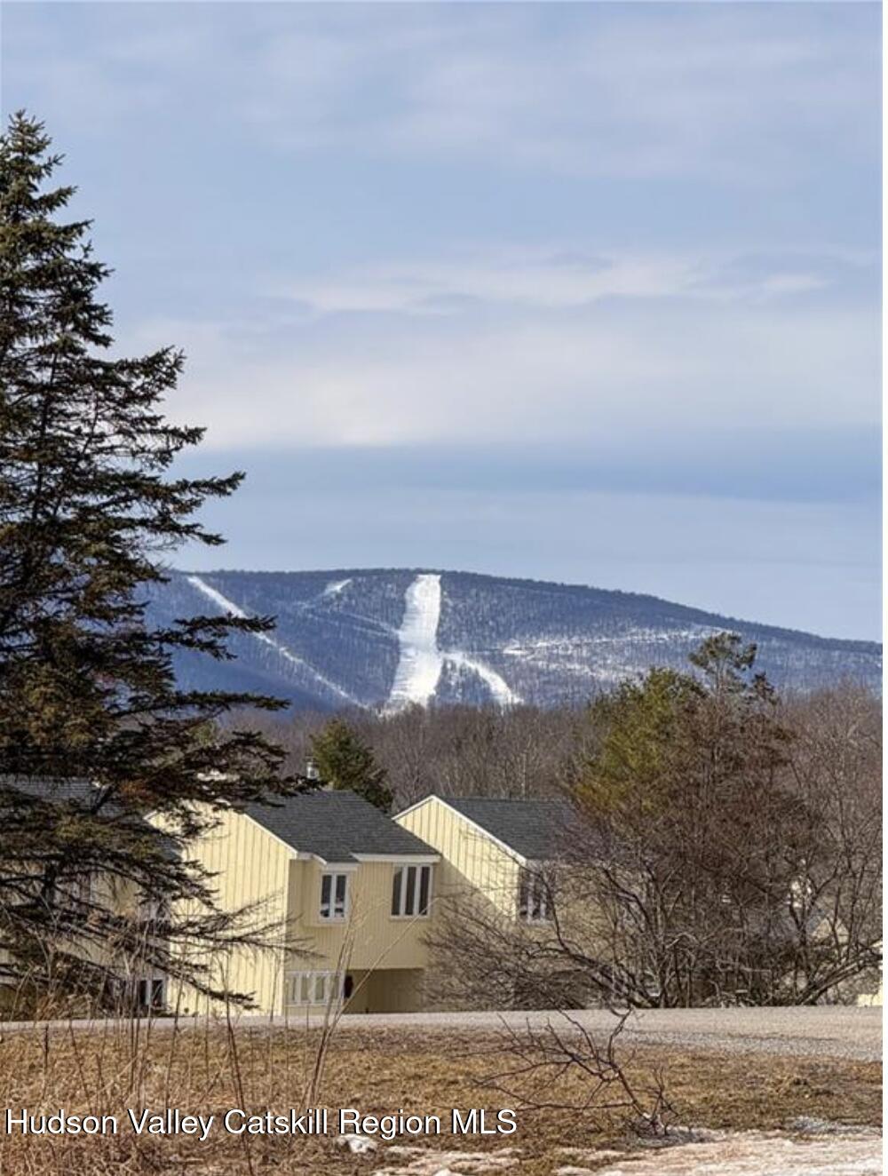 130 Pines Drive, Unit 59 Roxbury, NY 12421 - Photo 7 of 34 a view of houses with sky view