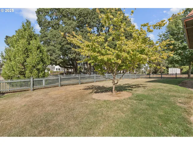 a view of a field with trees