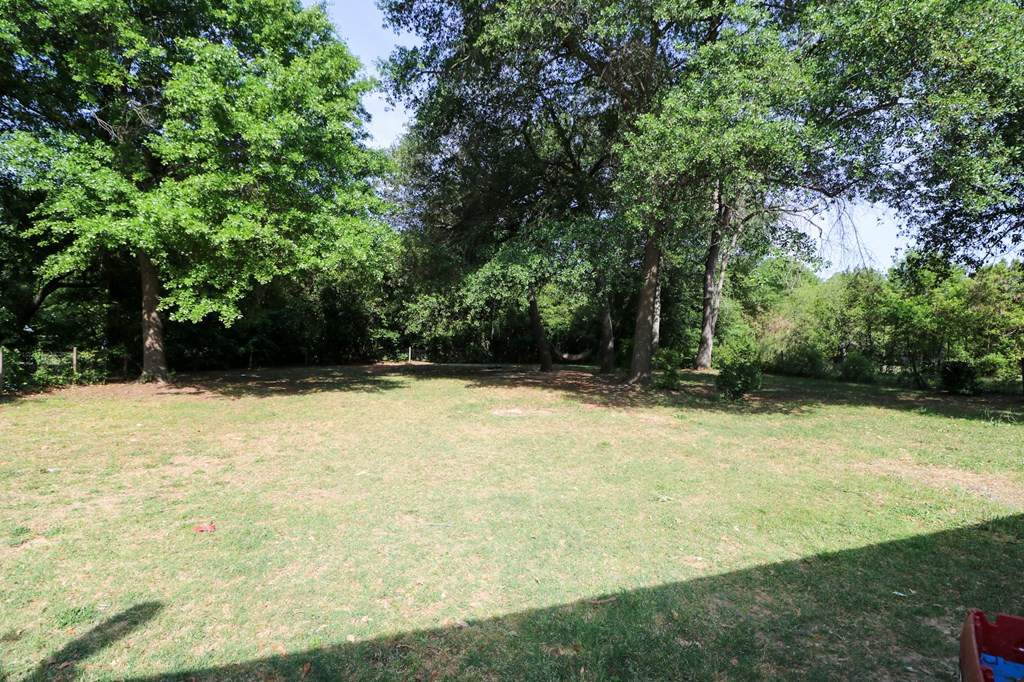 160 Redds Branch Road Aiken, SC 29801 - Photo 19 of 25