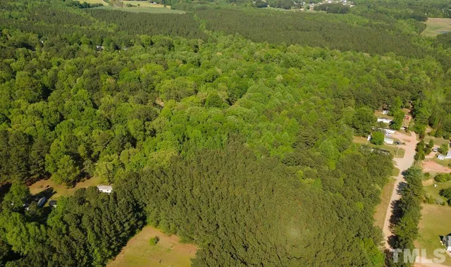 a view of a big yard with plants and entertaining space