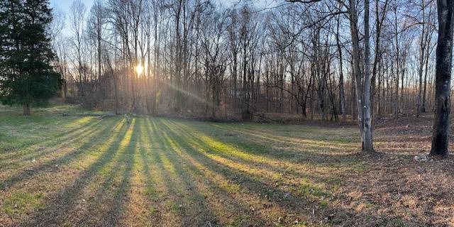2740 Rutrough Road Southeast Roanoke, VA 24014 - Photo 27 of 27 a view of a yard with a trees