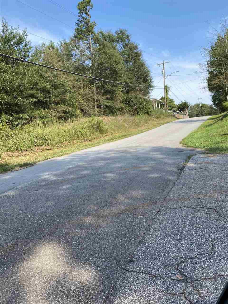 Middle Street Lyman, SC 29365 - Photo 2 of 6 Gallery Image 2