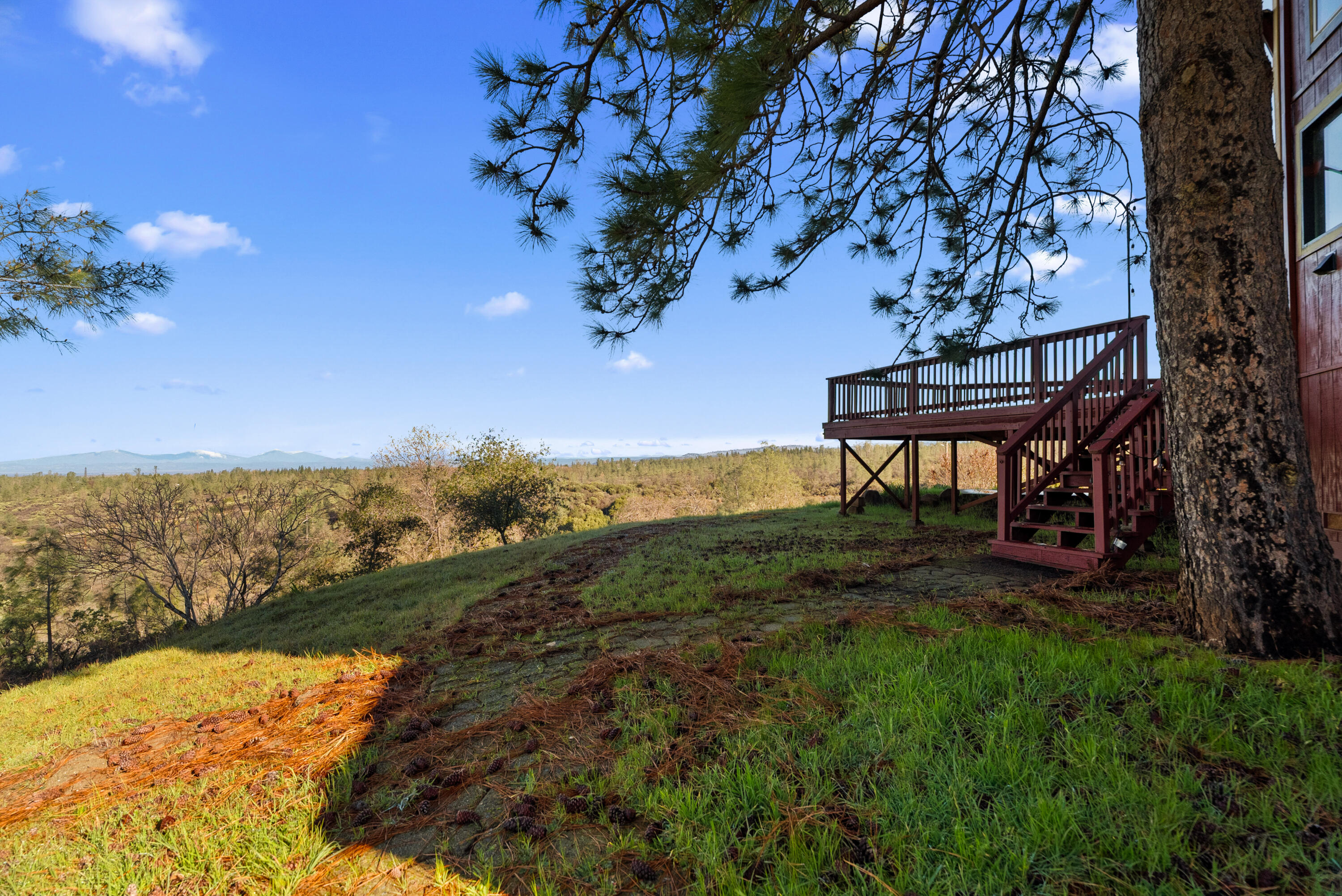 6866 Alpine Ridge Road Shingletown, CA 96088 - Photo 55 of 58 a view of a backyard with plants and a lake