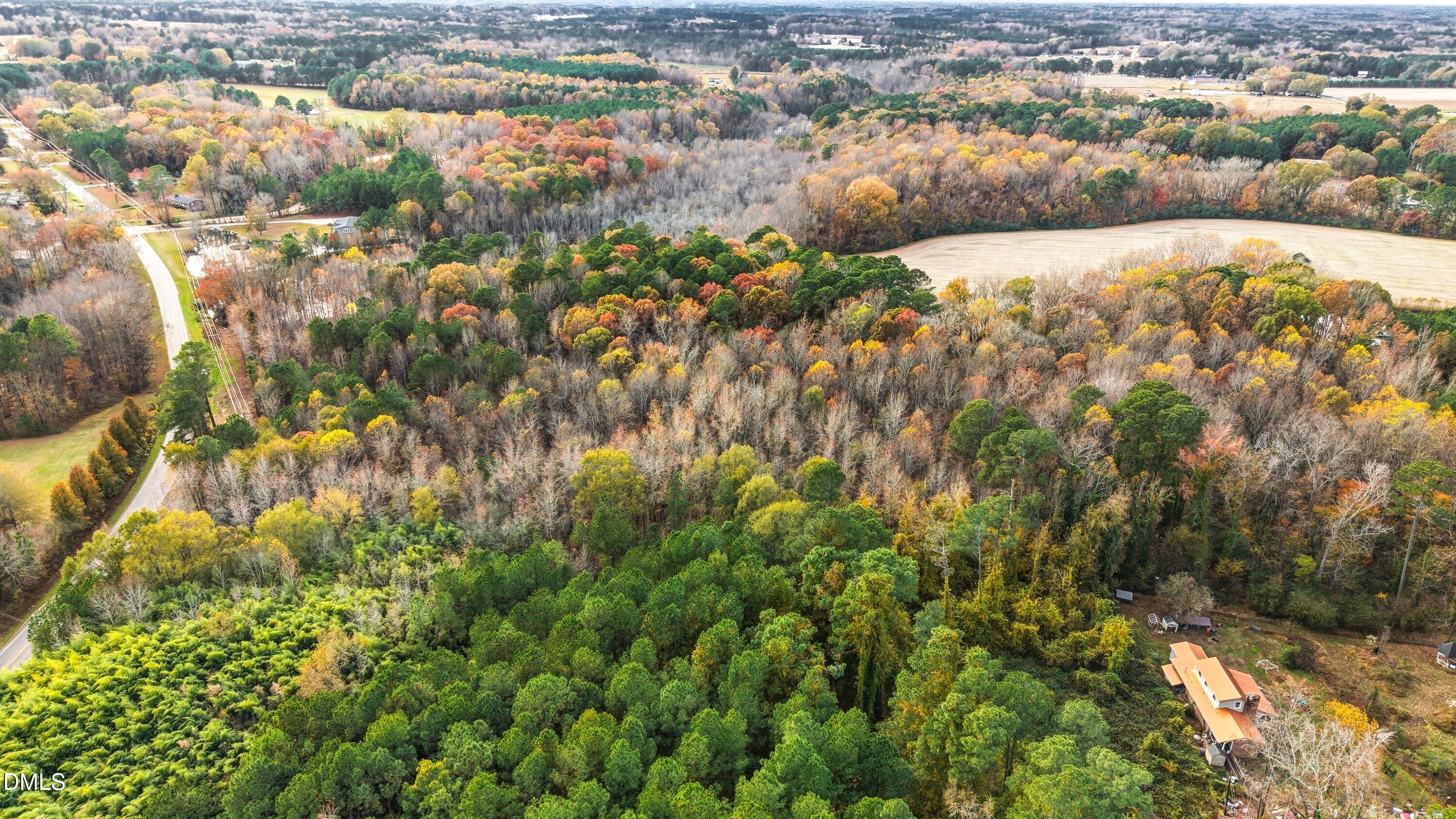 0 Old Us 64 Spring Zebulon, NC 27597 - Photo 8 of 10 a picture of mountains