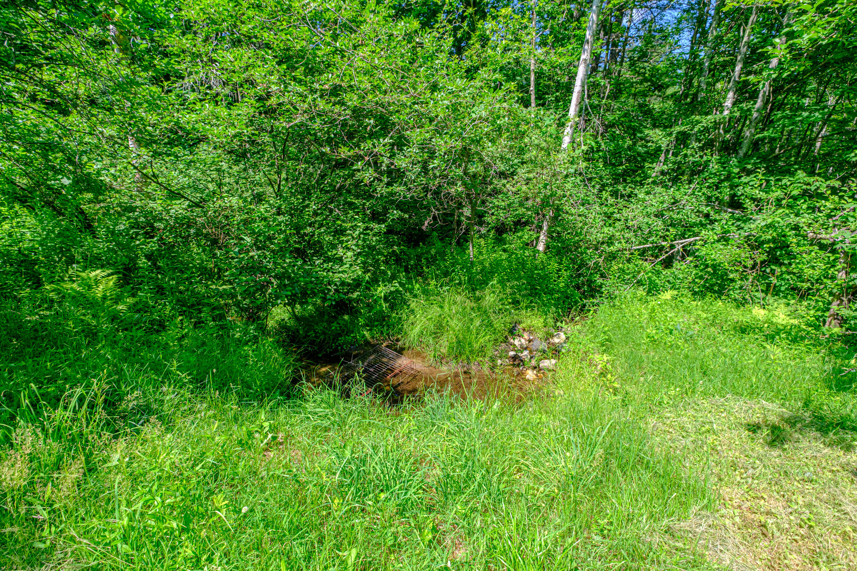 146 Demeritt Road Newfield, ME 04095 - Photo 34 of 35 20260629gp-62039