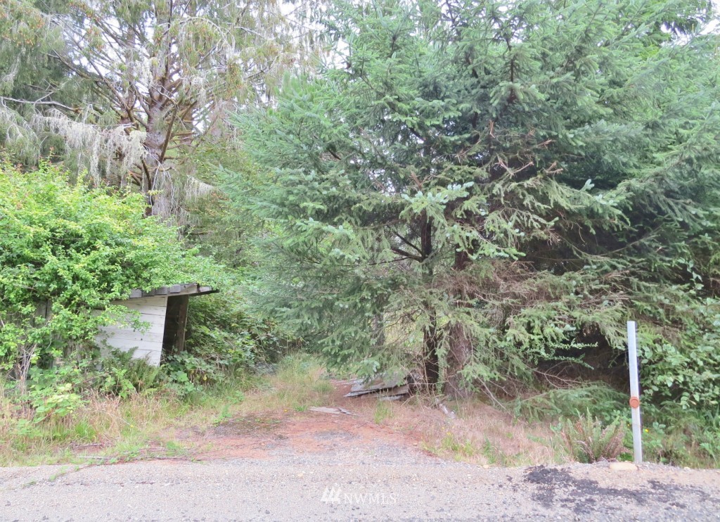 2454 Ocean Beach Road Copalis Crossing, WA 98536 - Photo 1 of 15 Gallery Image 1