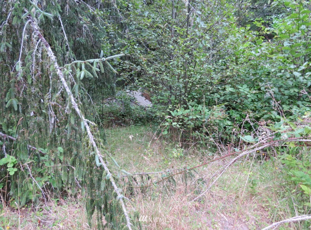 2454 Ocean Beach Road Copalis Crossing, WA 98536 - Photo 12 of 15 Gallery Image 12