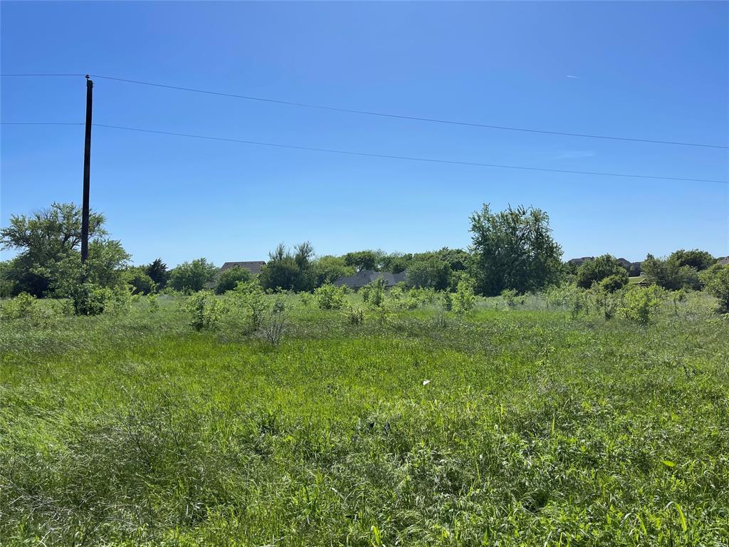 0 Mc Alpin Road Midlothian, TX 76065 - Photo 3 of 22