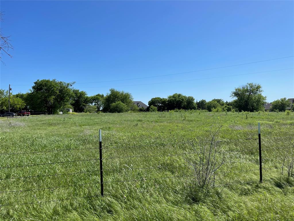 0 Mc Alpin Road Midlothian, TX 76065 - Photo 8 of 22